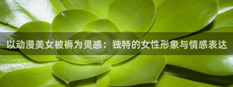 风车动漫dm530官网：以动漫美女被褥为灵感：独特的女性形象与情感表达