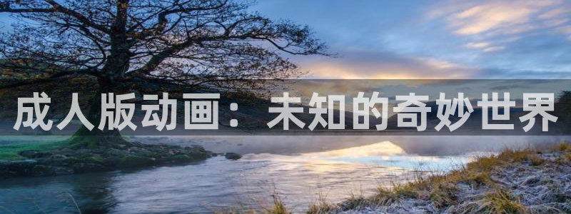 新风车动漫在线高清免费观看：成人版动画：未知的奇妙世界