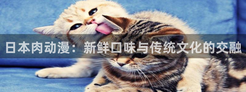 风车动漫p_专注动漫：日本肉动漫：新鲜口味与传统文化的交融