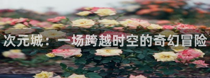 风车动漫呢：次元城：一场跨越时空的奇幻冒险
