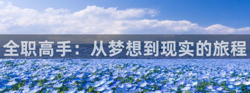 动漫风车风车动漫：全职高手：从梦想到现实的旅程