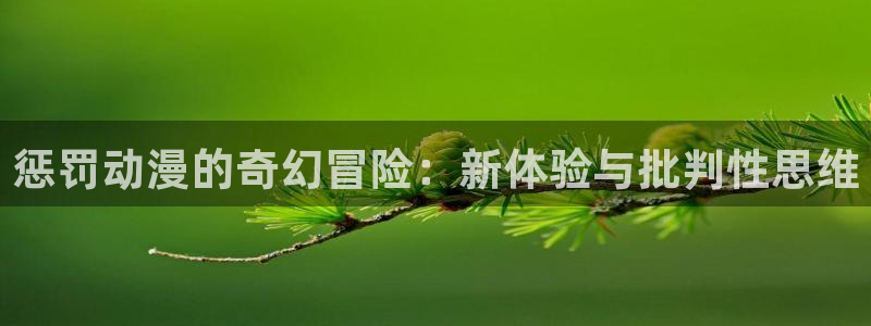 风车动漫\'：惩罚动漫的奇幻冒险：新体验与批判性思维