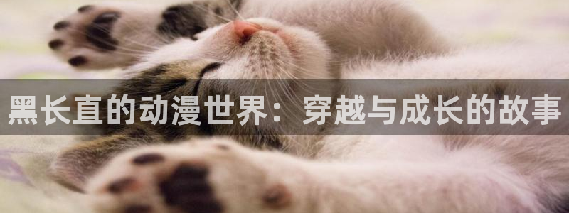 风车动漫之家官网：黑长直的动漫世界：穿越与成长的故事